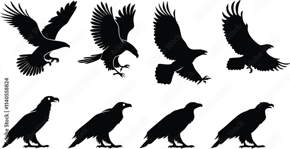Obraz premium Eagle silhouette vector art set in different styles, using black color illustration design