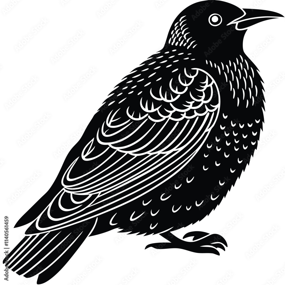 Obraz premium Martin vector silhouette, isolated white background