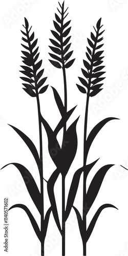 Silhouette of corn stalk with ears of corn leave