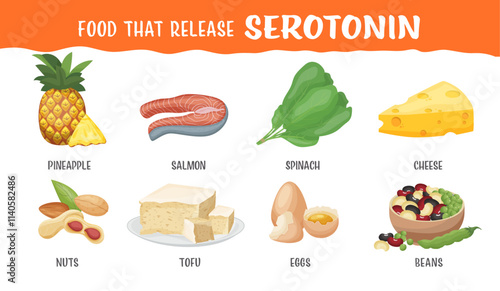 Foods that naturally help release serotonin. Important chemicals.