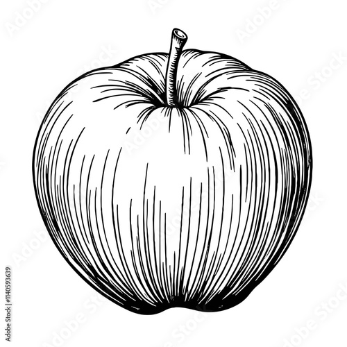 Vintage black and white apple sketch, artistic food illustration