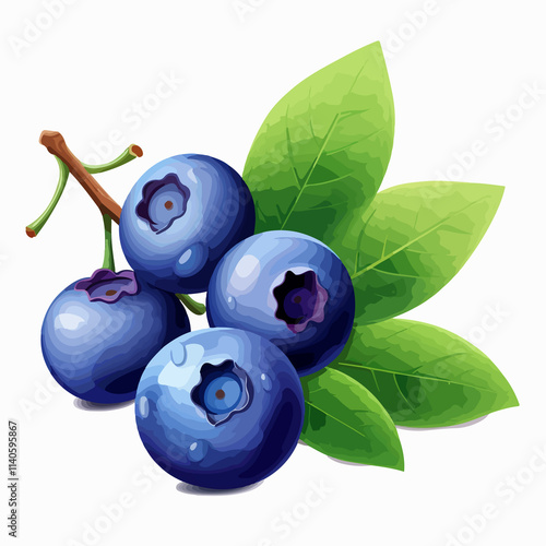 Fresh blueberry fruit isolated on white background for stock vector illustration use