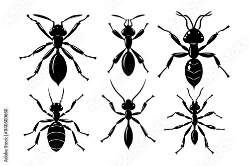 6 different styles of ants vector silhouette