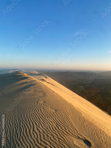 Dune du Pilat at sunrise, with the soft light illuminating the vast sandy landscape and creating a serene, natural atmosphere
