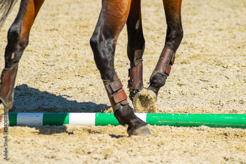 Foto legs of a brown lusitano thoroughbred horse in a horse dressage competition, equ