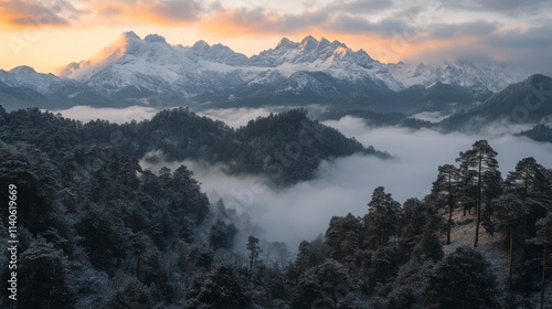 Snow covered path leads to majestic mountain range surrounded by trees at dawn