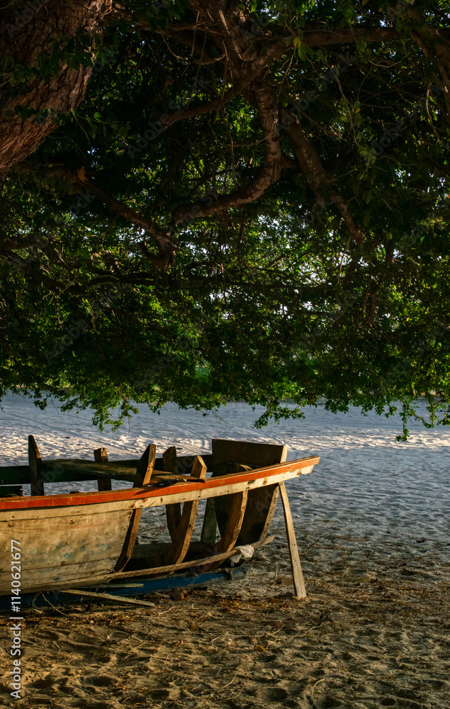 Obraz premium Tropical Boat