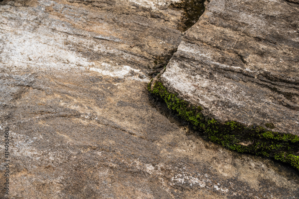 Weathered Rock Surface with Moss and Natural Textures Weathered Rock Surface with Moss and Natural Textures