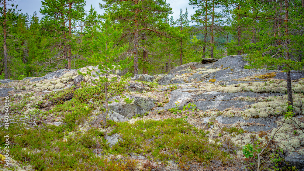 Heggjebottvatnet in Norwegen Heggjebottvatnet in Norwegen