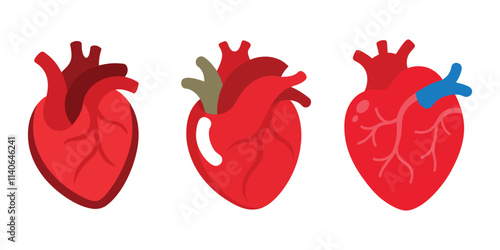 vector illustration set of heart coronary artery heart on a white background