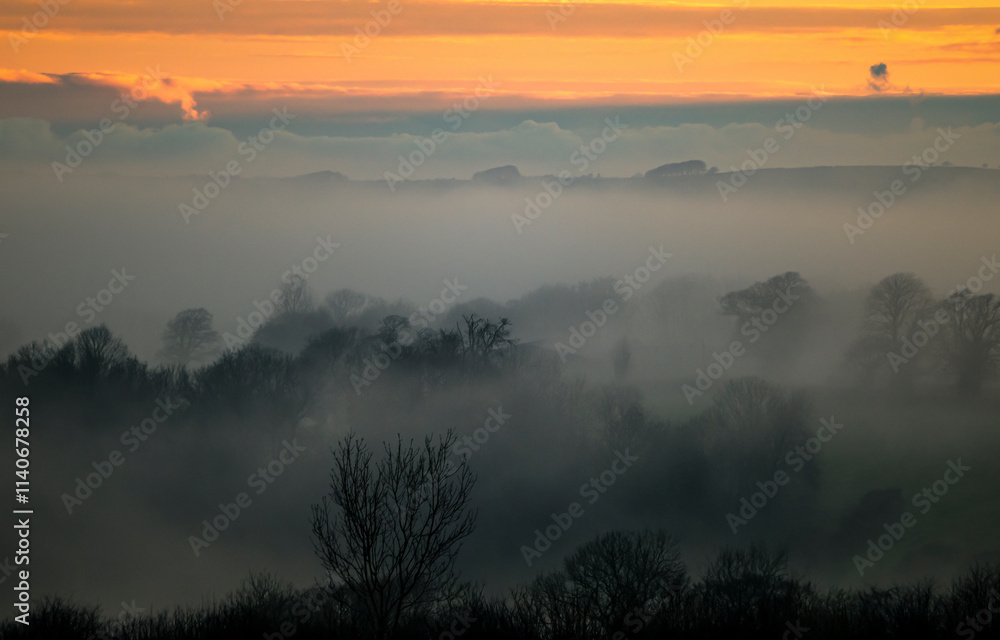 Sunrise fog. Misty morning fog Sunrise fog. Misty morning fog