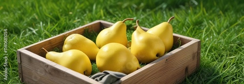 Wooden box with four bright yellow pears nestled among the blades of fresh green grass, harmony, wooden box, rustic elegance photo