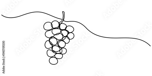 Continuous Line Drawing Of Grapes On A Transparent background, One line drawing grape fruits. Single outline organic nature food, Grape drawn in one continuous line. One line drawing, minimalism. 