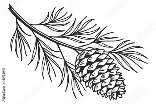 Christmas pinecone vector line art illustration