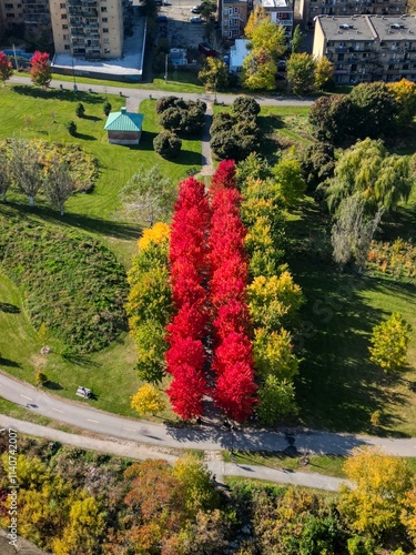 Red Tree line