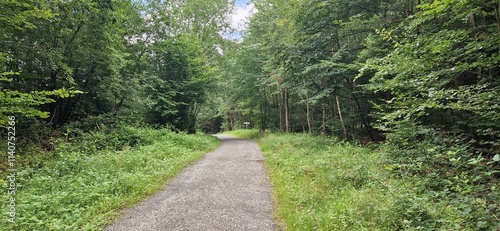 path in the park