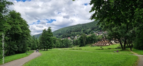 landscape with trees