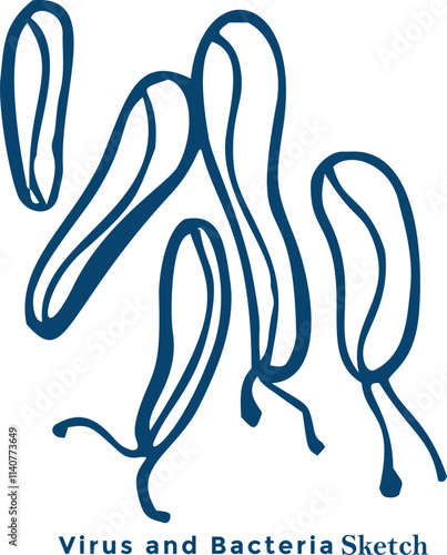  viral vectors in the body.