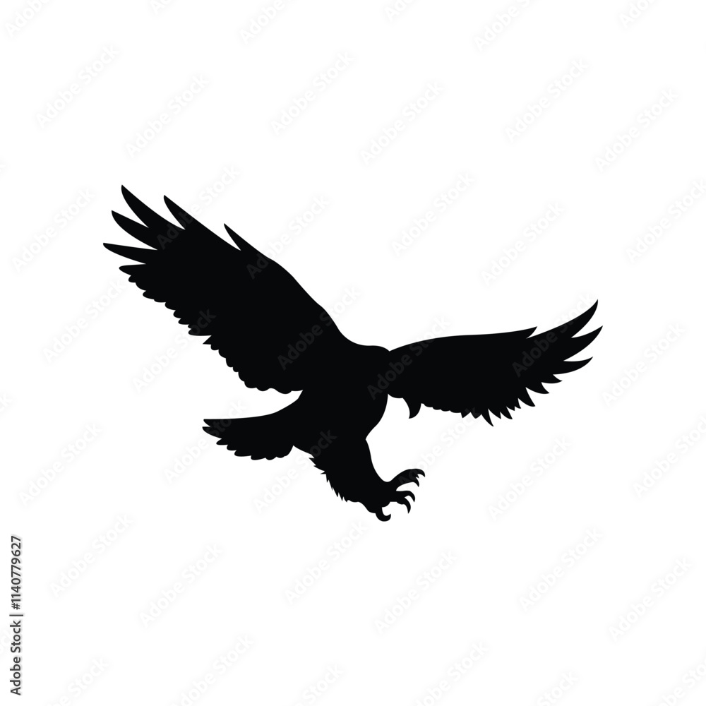 Obraz premium eagle in flight