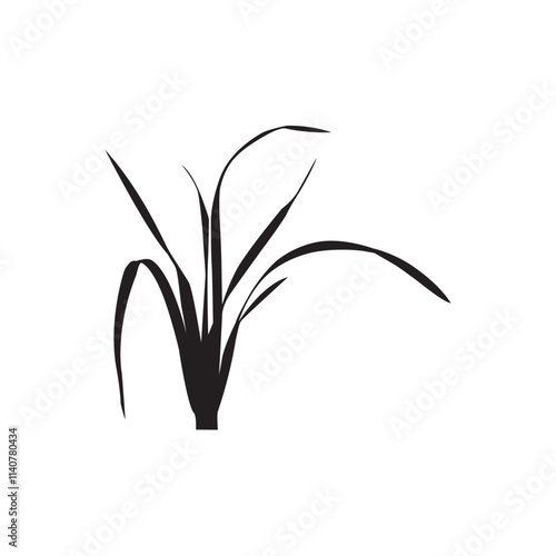 lily of the valley isolated on white