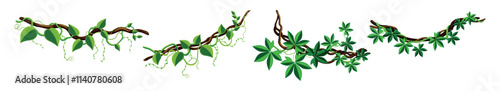 Vector illustration of creeper. Cartoon scene of beautiful climbing plants, branches with creepers with different types of green leaves isolated on white background. Liana of the tropical forest.
