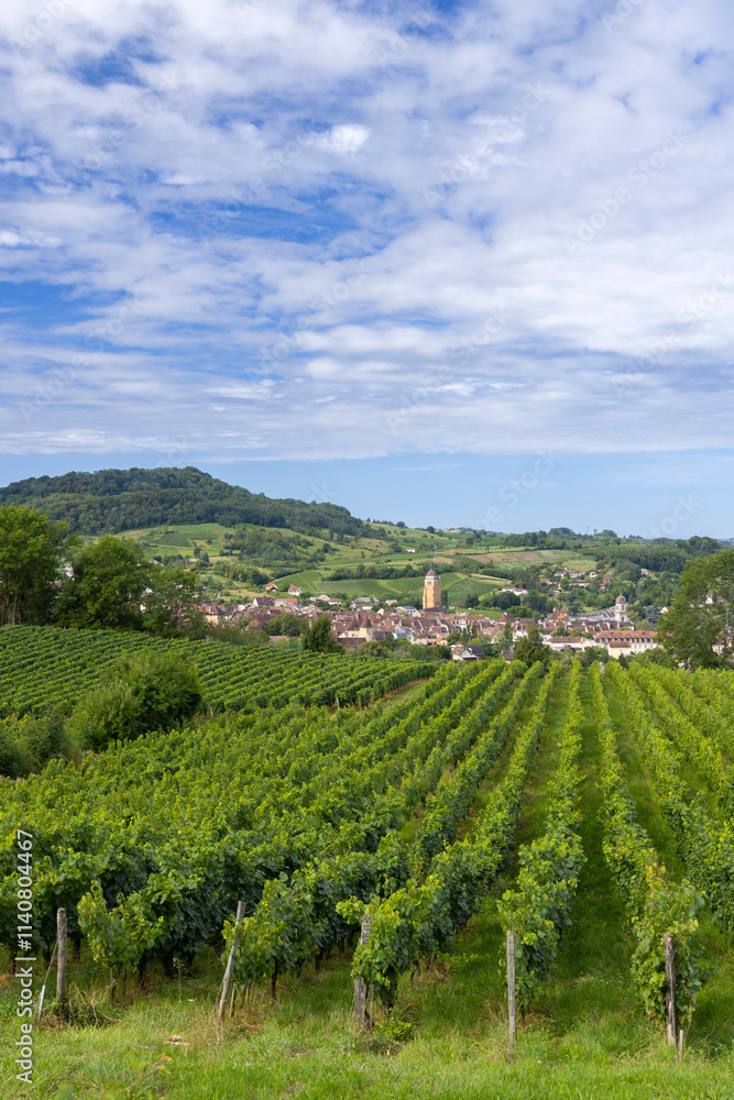 Vineyards with Arbois town, Department Jura, Franche-Comte, France Vineyards with Arbois town, Department Jura, Franche-Comte, France