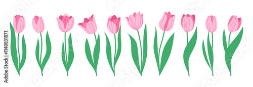 Set of spring flowers tulips. Pink tulips. Vector simple hand drawn illustration in doodle style isolated on white