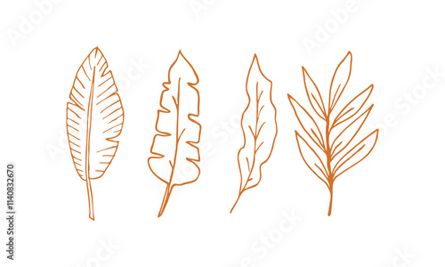 ears of wheat