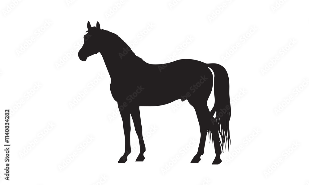 Obraz premium horse isolated on white