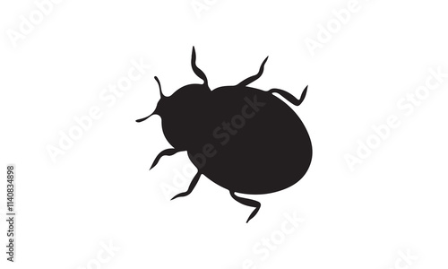 beetle isolated on white background