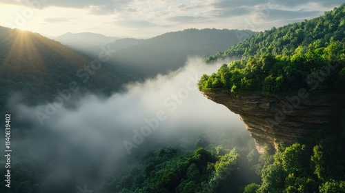 Breathtaking misty morning view from a mountain cliff overlooking dense forest nature serene landscape