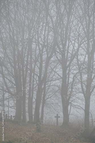 landscape with leafless trees in fog and lonely christian cross in old country cemetery in Latvia