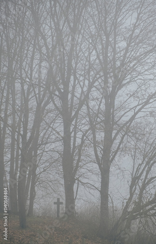 landscape with leafless trees in fog and lonely christian cross in old country cemetery in Latvia