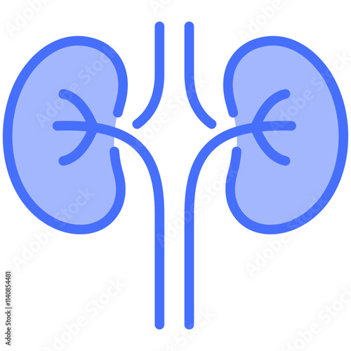 Nephrology Icon