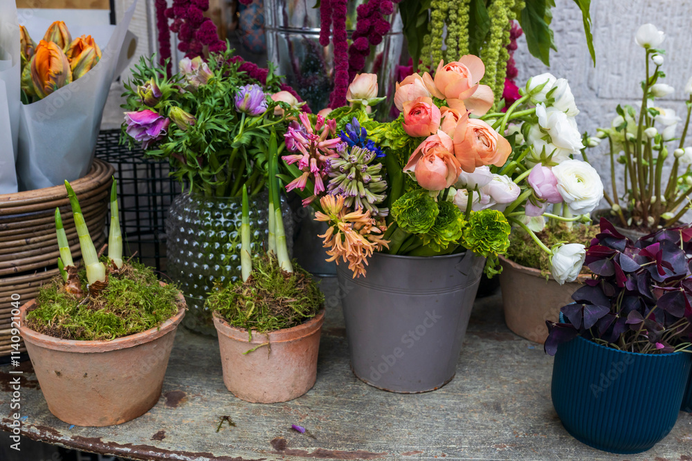 Narcissus sprouts, orange-peach ranunculus in a vase, oxalis, parrot tulips, hyacinths in tin buckets for sale, for interior decoration and bouquets. Narcissus sprouts, orange-peach ranunculus in a vase, oxalis, parrot tulips, hyacinths in tin buckets for sale, for interior decoration and bouquets.