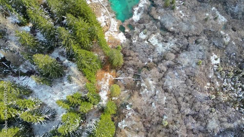 Zelenci Nature Reserve in winter transforms into a serene wonderland. Captured from the air, this breathtaking view showcases the emerald-green springs surrounded by a blanket of snow photo