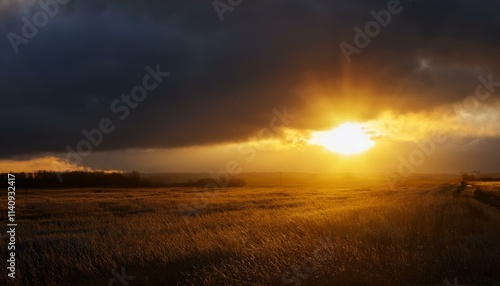 Intense sunlight beneath a stormy sky, a dramatic scene of light and dark