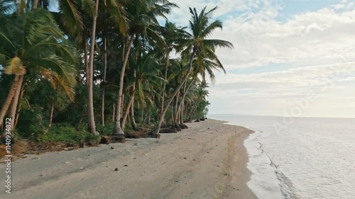 Secluded Untouched Beach with Palm Trees