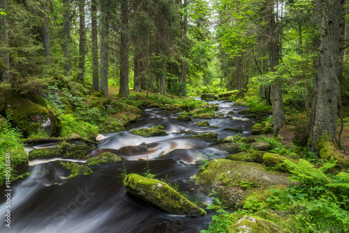 Höllfall, Großer Kamp, Waldviertel, Niederösterreich, Österreich