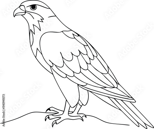 The falcon is sitting isolated on white background. Line art falcon bird
