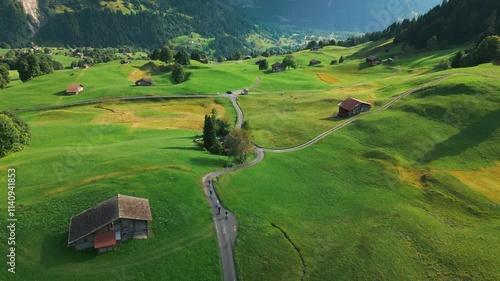 Meadow Revealing Mountains in Switzerland