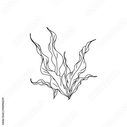 Hand drawn green seaweed algae graphic illustration. Natural drawing