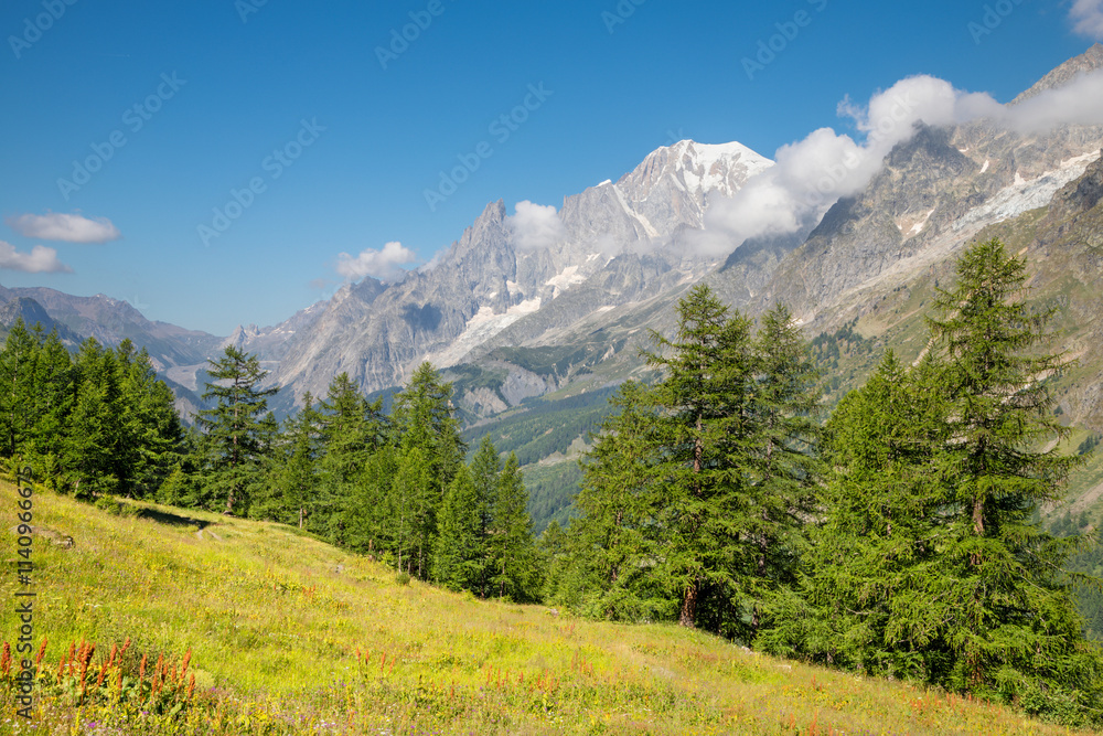 Fototapeta premium The Mont Blanc massif from Val Ferret valley in Italy.