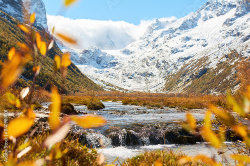 Aspen Colorful Autumun under Snow Mountain with Lake photo