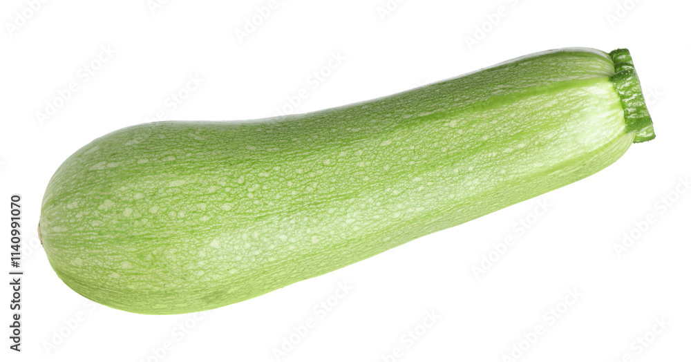 One fresh ripe zucchini isolated on white One fresh ripe zucchini isolated on white