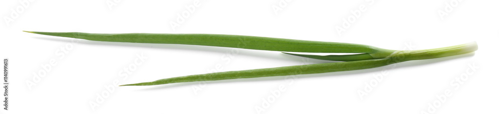 Fresh ripe green onion isolated on white Fresh ripe green onion isolated on white