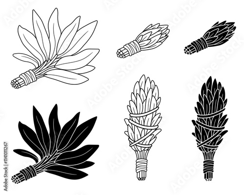 Bundle of White Sage Smudging Leaves Clipart Set with Outline and Silhouette on a Transparent Background