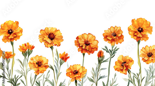 Marigold themed frame or border for photos, with orange and yellow blooms, watercolor illustration, white color background, botanical border for wallpaper or wrapping