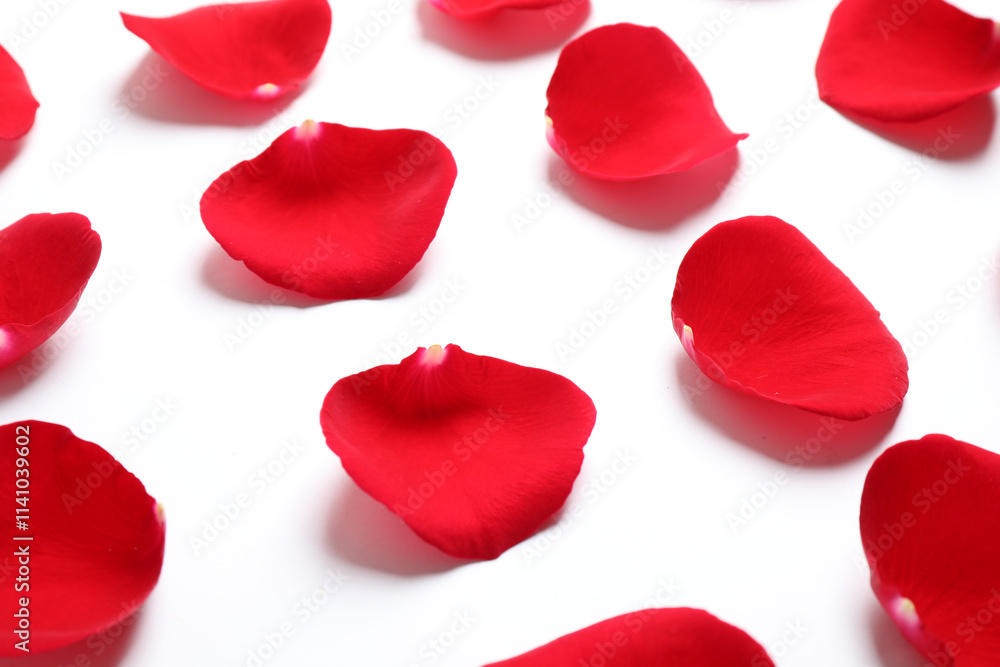 Fototapeta premium Fresh red rose petals on white background