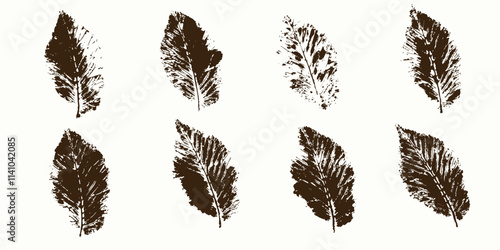 Natural leaves imprint, Grunge style, Vector, Isolated, Decorative elements for design